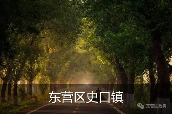 东营区史口镇