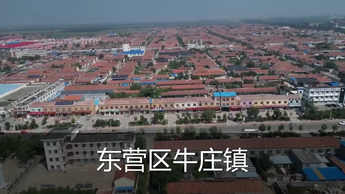 东营区牛庄镇