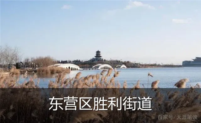 东营区胜利街道