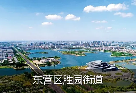 东营区胜园街道